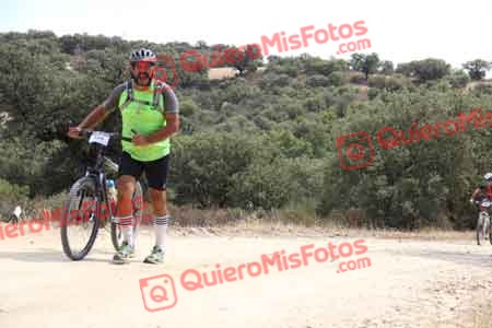 TOMAS GUERRA PELETERO Talajara 2015 27886