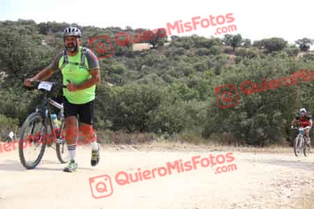 TOMAS GUERRA PELETERO Talajara 2015 27887