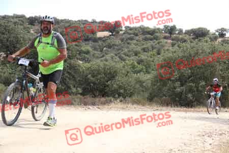 TOMAS GUERRA PELETERO Talajara 2015 27888