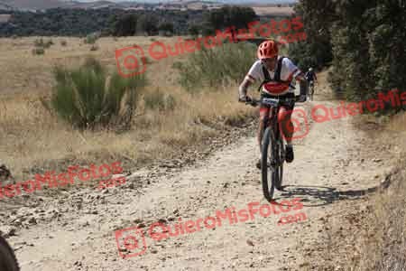GUILLERMO ROTHE GOMEZ Talajara 2015 27984