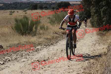 GUILLERMO ROTHE GOMEZ Talajara 2015 27985
