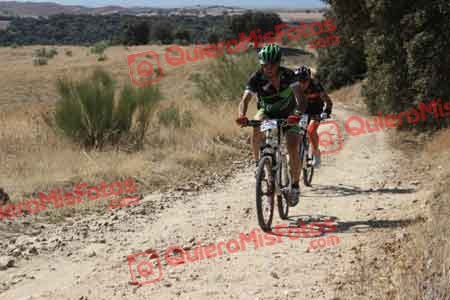 Talajara 2015 27988
