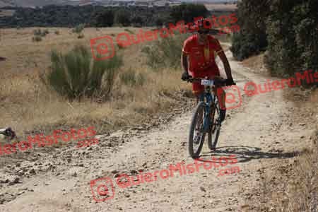 FERNANDO MARTIN GARCIA Talajara 2015 28002