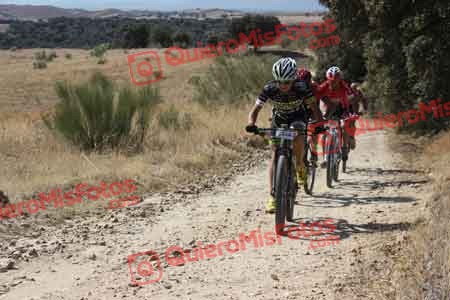 IVAN COCA DE LOS RIOS Talajara 2015 28011
