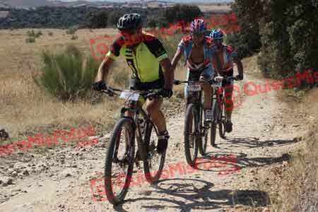 JOSE MARCELO JOFRE Talajara 2015 28062