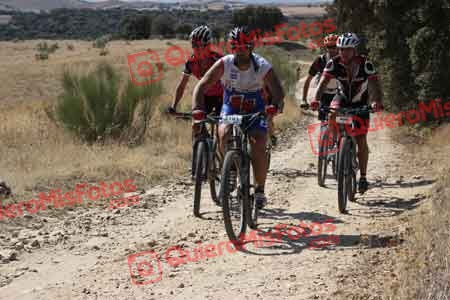 IGNACIO LORO BATANERO Talajara 2015 28204