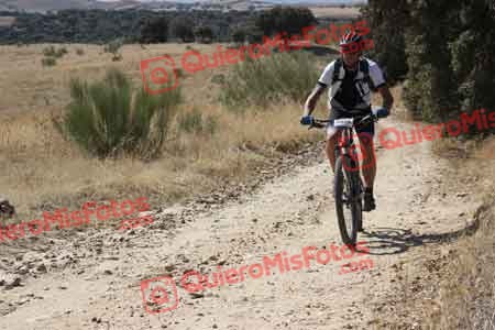 FRANCISCO JOSE NINO UNGIDOS Talajara 2015 28290