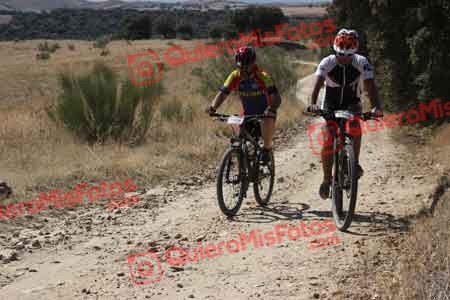 JOSE LUIS MONTERO SALAMANCA Talajara 2015 28326