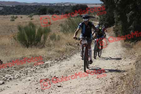 OSCAR SAENZ ELGUREN Talajara 2015 28434