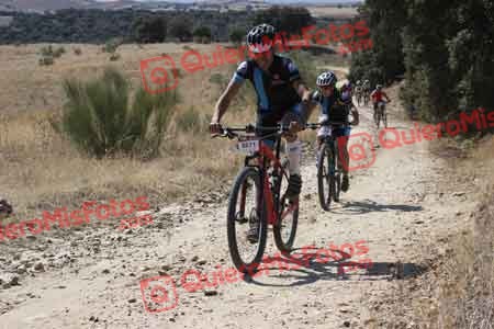 OSCAR SAENZ ELGUREN Talajara 2015 28435