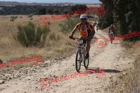 Talajara 2015 28485