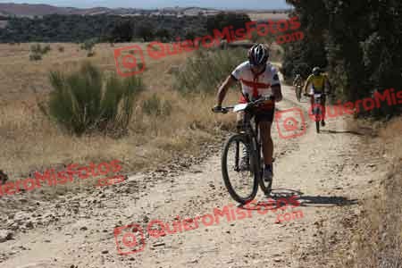MARIANO HERNANDEZ BARRERA Talajara 2015 28593