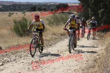 JUAN PEDRO POZA COSTA Talajara 2015 28648