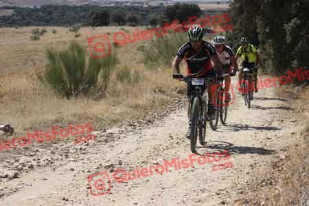 LEONARDO REVUELTA DEL VILLAR Talajara 2015 28668