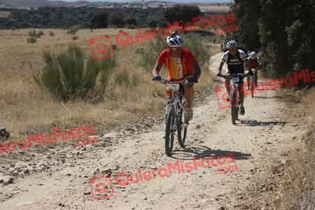 JOSE LUIS BARRADO GARCIA Talajara 2015 28701