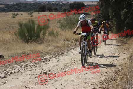 PEDRO MOYANO MARTIN Talajara 2015 28704