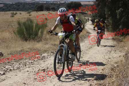 PEDRO MOYANO MARTIN Talajara 2015 28706
