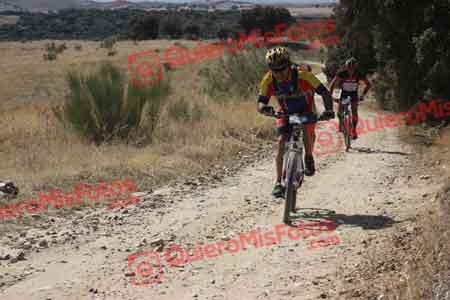 PAULINO VICARIO SANTAMARIA Talajara 2015 28708