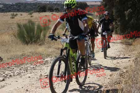 JOSE ANTONIO AMUEDO GONZALEZ Talajara 2015 28884