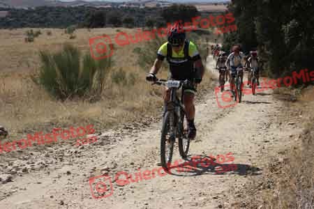 JAVIER VERGES ROGER Talajara 2015 28926