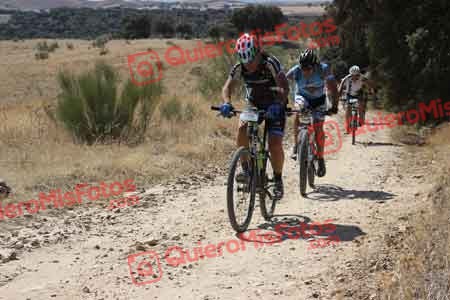 ALBERTO PINGARRON MORILLO Talajara 2015 29126