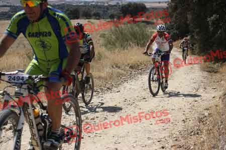 MIGUEL ANGEL BOYERO PABLOS Talajara 2015 29151