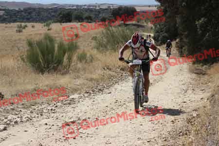 JOSE LUIS DE LA CALLE GALINDO Talajara 2015 29154