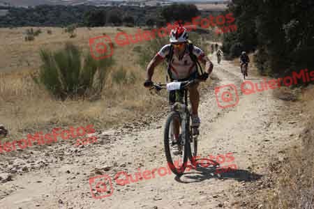 JOSE LUIS DE LA CALLE GALINDO Talajara 2015 29155