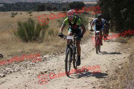 GUILLERMO MARTIN BUSTAMANTE Talajara 2015 29215