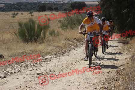 FRANCISCO GOMEZ VERA Talajara 2015 29449