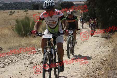 JUAN SANCHEZ GALAN Talajara 2015 29780