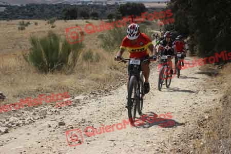 JAVIER PALOU DIAZ Talajara 2015 29784
