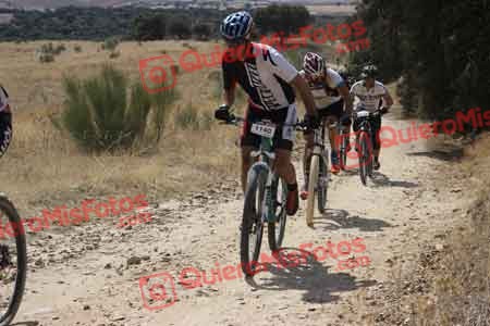 OSCAR OLMO ALCARAZ Talajara 2015 30066