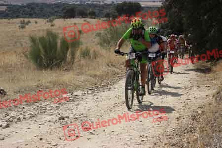 JUAN LUIS MARTIN FLORIDO Talajara 2015 30120