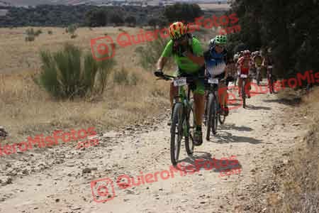 JUAN LUIS MARTIN FLORIDO Talajara 2015 30121
