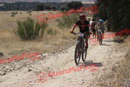 MIGUEL ANGEL ASO VISCASILLAS Talajara 2015 30321