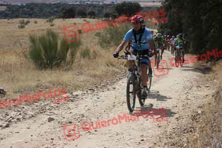 JOSE MANUEL DE JOSE ROCA Talajara 2015 30383