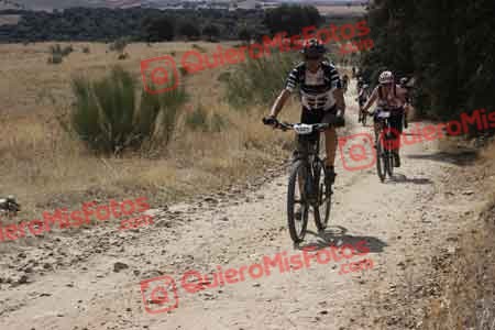 VICENTE SALCEDO NUEVO Talajara 2015 30532
