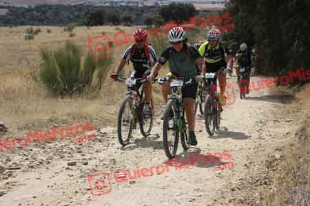JAVIER POLO SAN JOSE Talajara 2015 30847