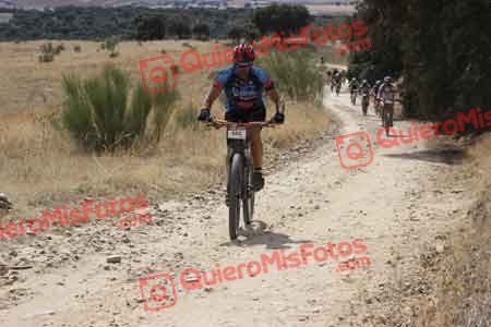 MIGUEL PASTRANA VILLA Talajara 2015 30883