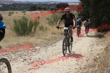 JUANJO GOMEZ PINERO Talajara 2015 30947