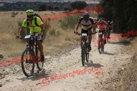 JOSE ANTONIO PRATS MAYORGA Talajara 2015 30963