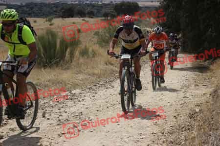 JOSE ANTONIO PRATS MAYORGA Talajara 2015 30964