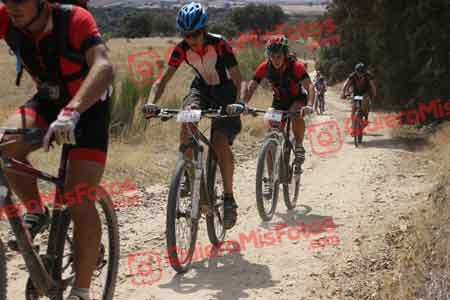 MIGUEL ARCONES VAQUERO Talajara 2015 31051