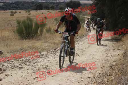 PEDRO GALLARDO DIAGO Talajara 2015 31055