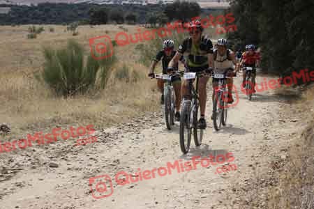JOSE CASTELLON BUENO Talajara 2015 31230