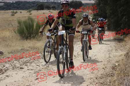 JOSE CASTELLON BUENO Talajara 2015 31232