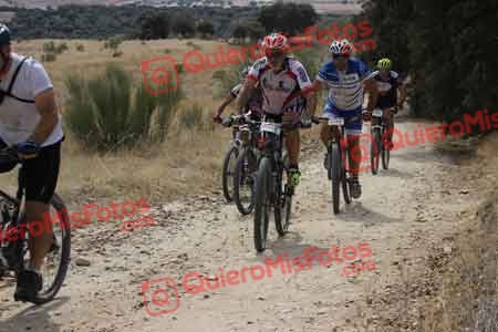 PEDRO HERNANDEZ ORGAZ Talajara 2015 31267