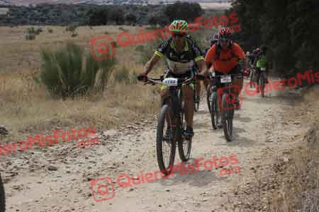 JUAN JOSE LARA CASADO Talajara 2015 31312