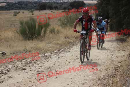 JESUS SAELICES NOVILLO Talajara 2015 31331